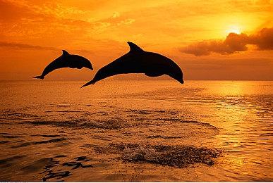 像素风怪物驯化《Creature Keeper》确认登陆Switch 年内发售