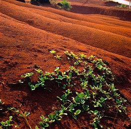 复古FPS《神探杰克鼠》新预告 今年上线！